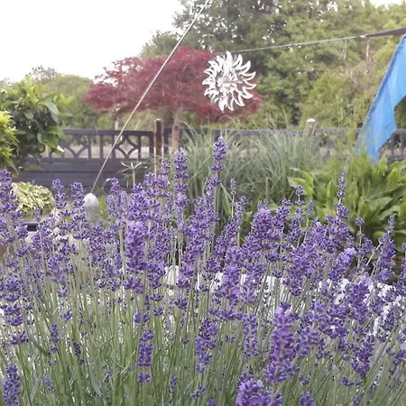 Haus Steffi Mullheim (Baden-Wurttemberg)