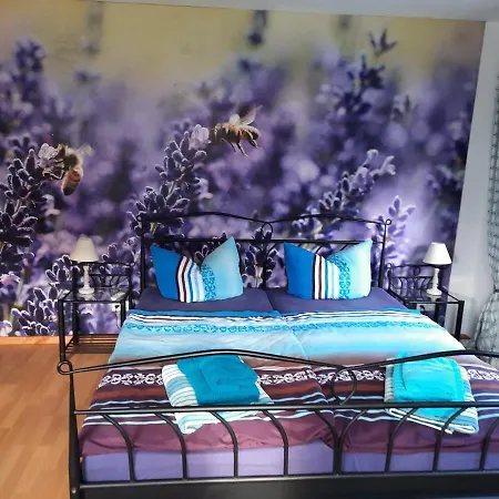 Séjour chez l'habitant Haus Steffi Mullheim (Baden-Wurttemberg)