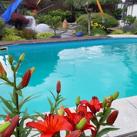 Haus Steffi Séjour chez l'habitant Mullheim (Baden-Wurttemberg)