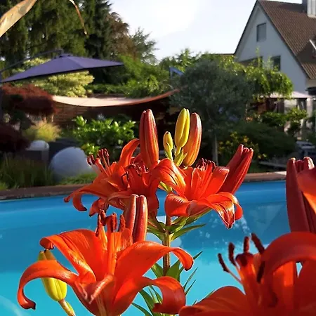 Habitación en casa particular Haus Steffi Mullheim (Baden-Wurttemberg)