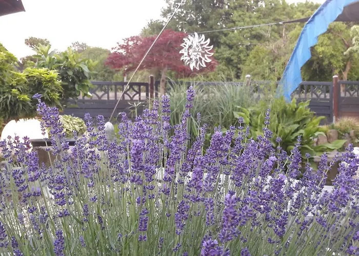 Haus Steffi Mullheim (Baden-Wurttemberg)