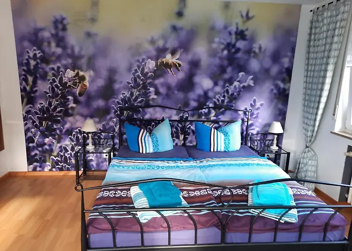 Séjour chez l'habitant Haus Steffi Mullheim (Baden-Wurttemberg)