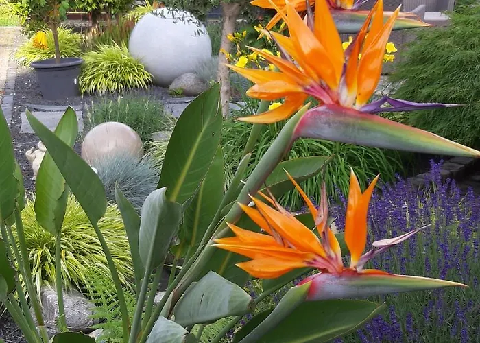 Haus Steffi Séjour chez l'habitant *