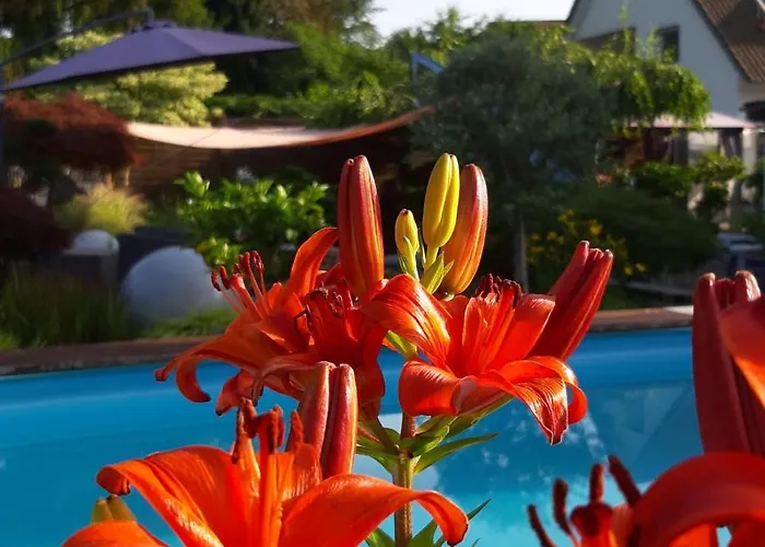 Haus Steffi Mullheim (Baden-Wurttemberg)