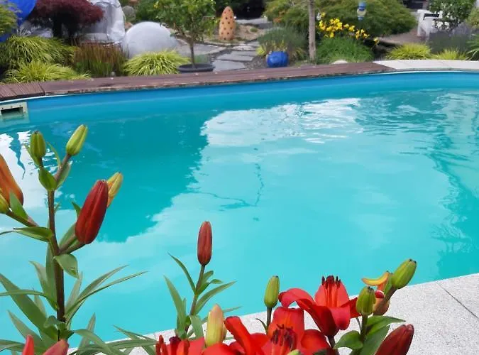 Haus Steffi Homestay Mullheim (Baden-Wurttemberg)