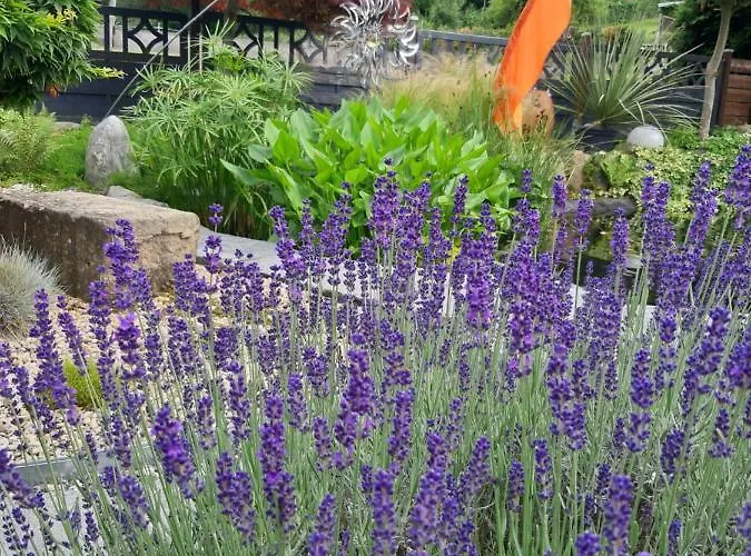 Haus Steffi Homestay Mullheim (Baden-Wurttemberg)