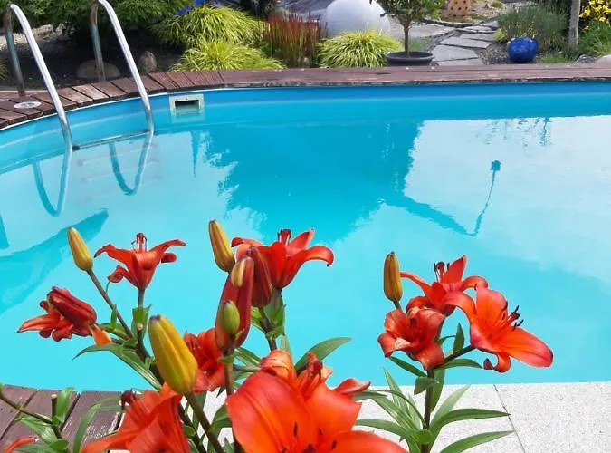 Haus Steffi Homestay *